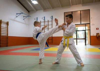 Karate2.png